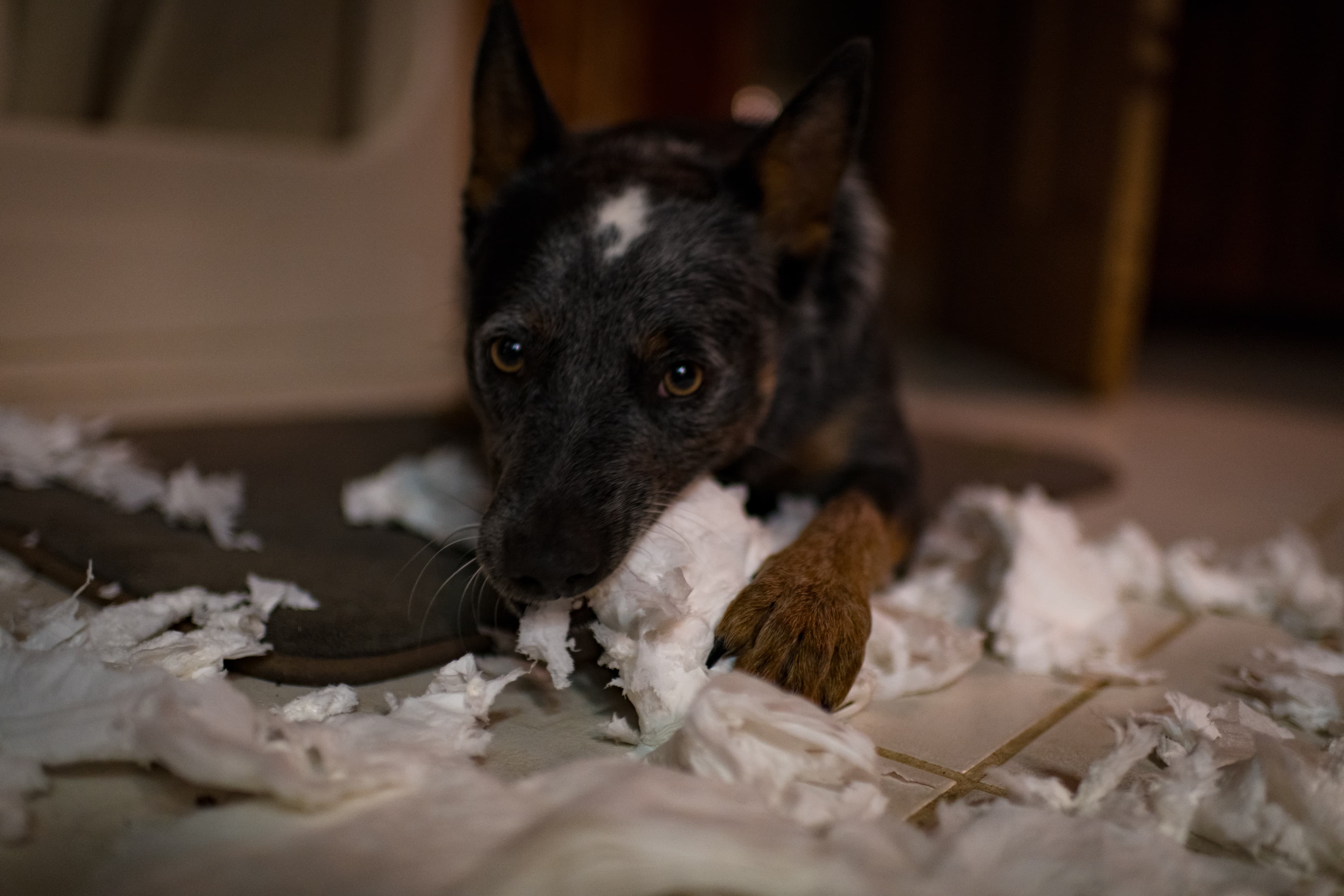 Make A Mess