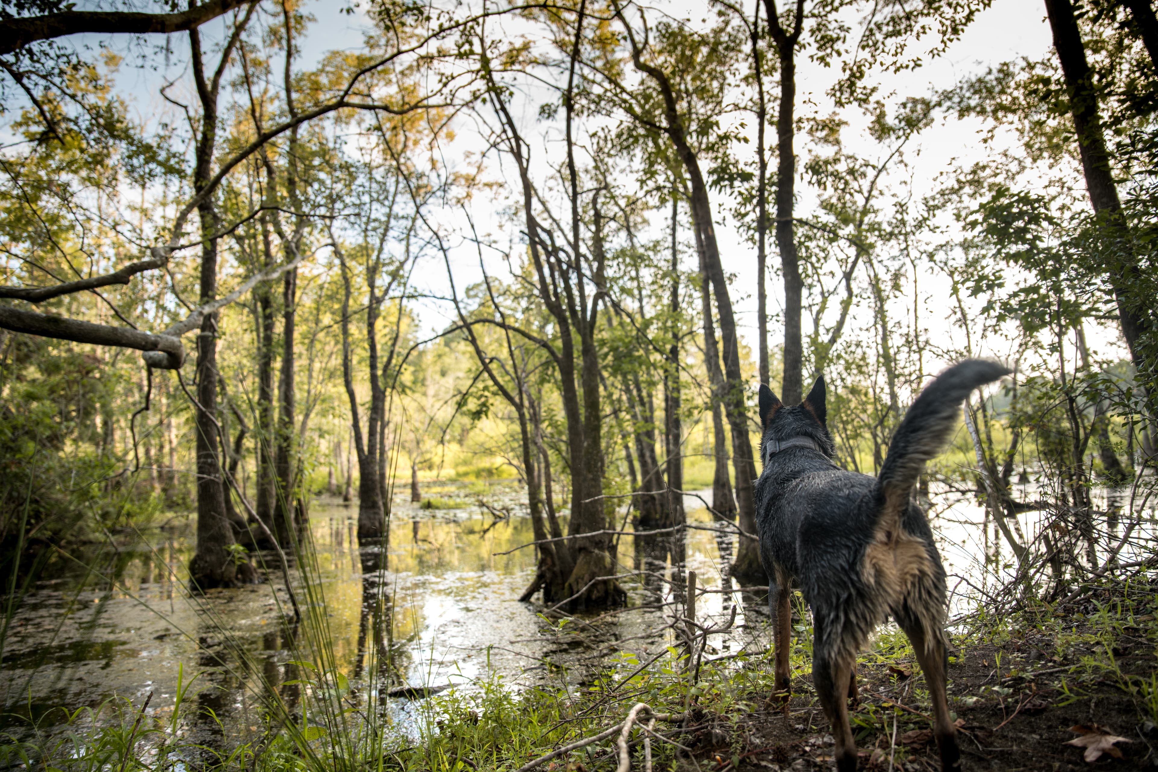 Mud's Story | Part 1