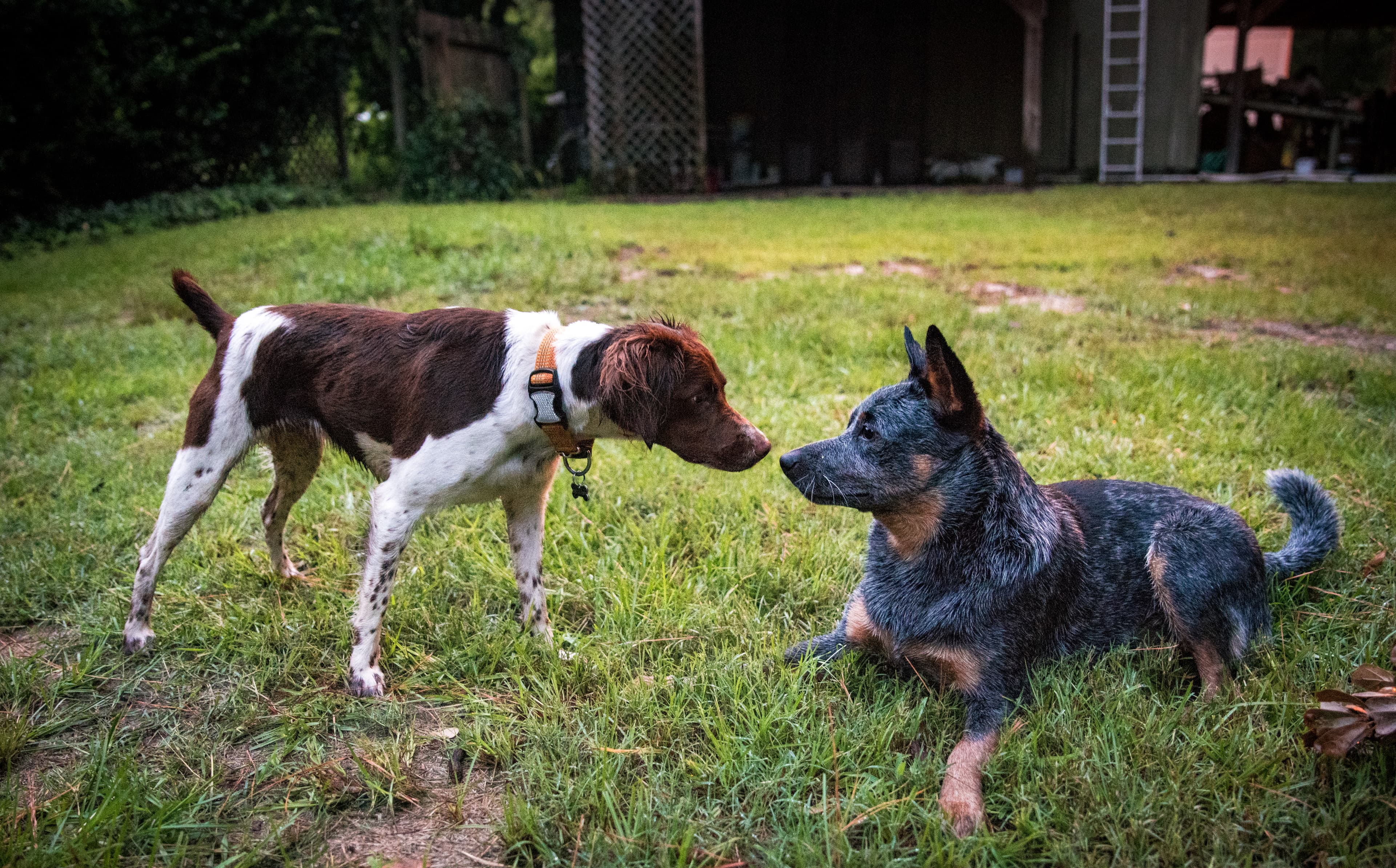 Mud's Story | Part II