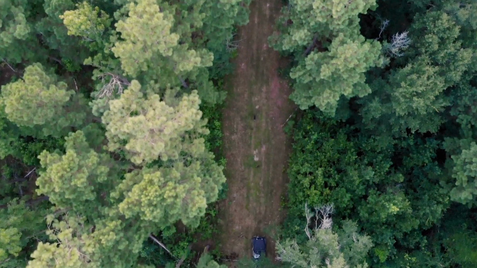 DBH Video Placeholder Image